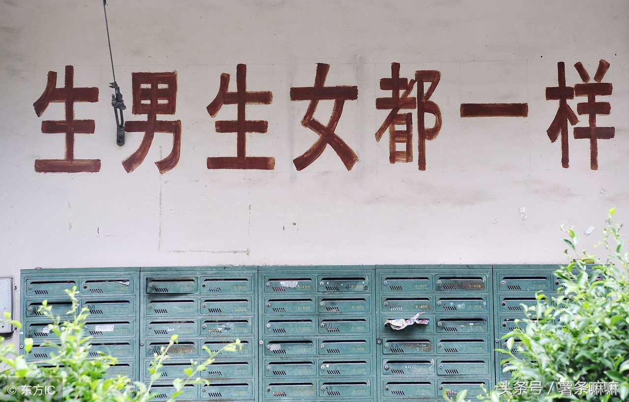 孕多久b超看孕囊形状判断长或圆,孕早期b超能看出是否双胞胎吗