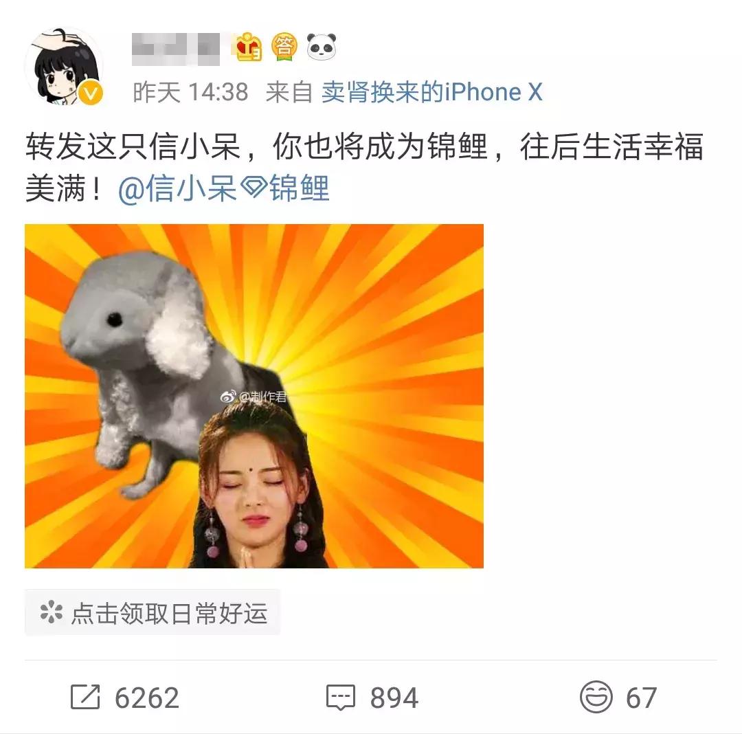 一夜暴富的中国锦鲤如今怎么样了,一夜暴富中国锦鲤现状引热议