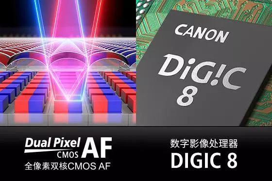 佳能eosr上手速评全画幅专业微单,佳能r系列全画幅测评