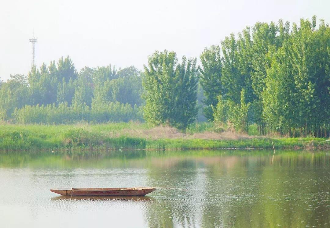 碧桂园·天樾湾交房实景,碧桂园天樾湾户型图