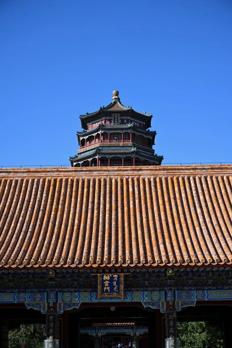 尼康z30挂机头推荐,尼康z系列挂机头推荐