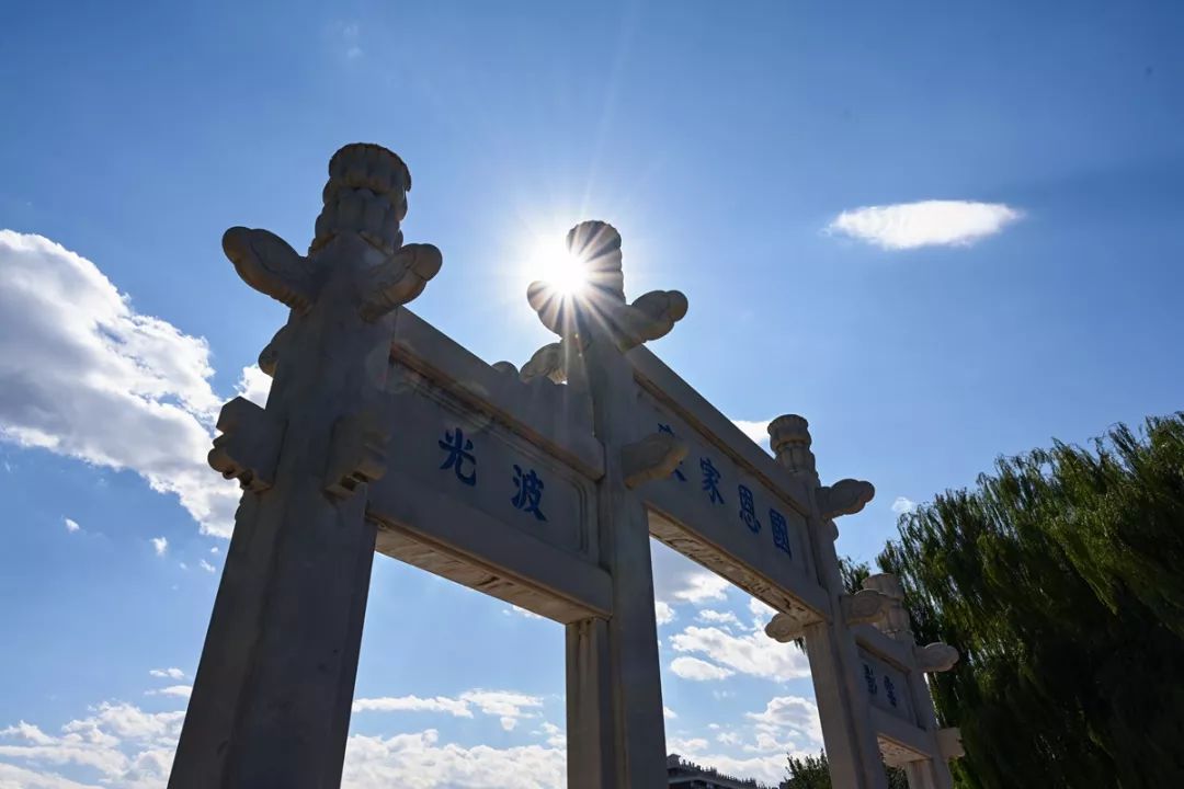 尼康z30挂机头推荐,尼康z系列挂机头推荐