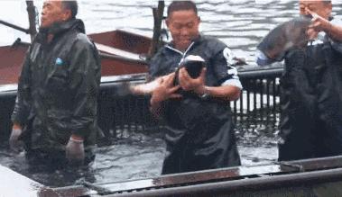 信阳市南湾湖景区好玩吗,信阳南湾湖是5a景区吗