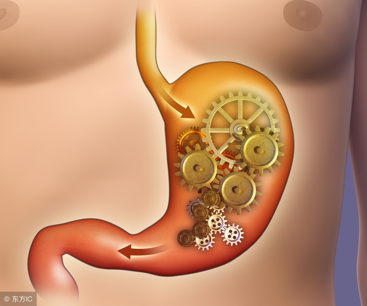 厨房里面的隐形医生,厨房小医生