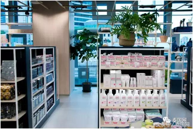 泰国椰青正确打开方式,探索泰国寺庙