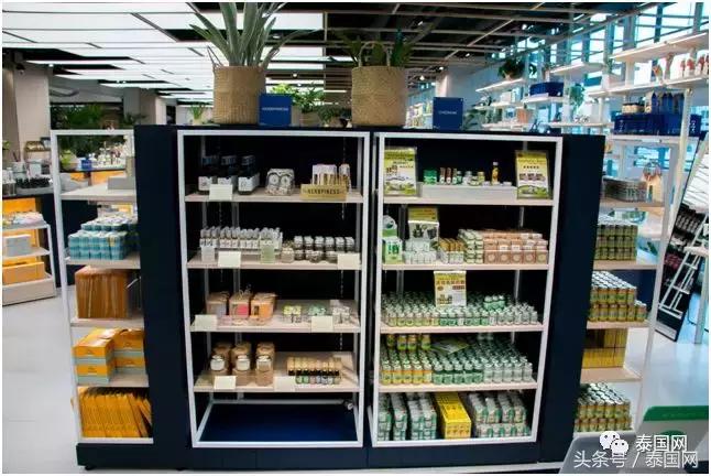 泰国椰青正确打开方式,探索泰国寺庙