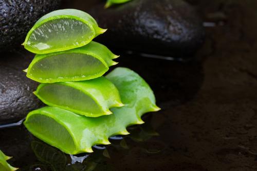 芦荟分可食用和不可食用吗,芦荟可食用好吃吗