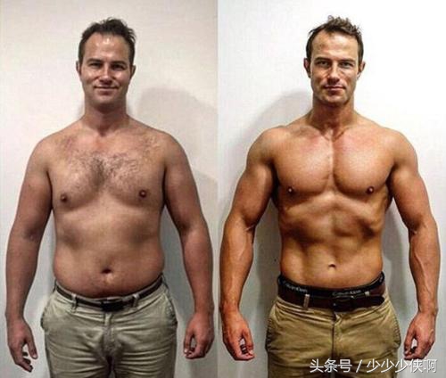 蛋粉吃多了会怎样,高蛋粉怎样吃才是正确的