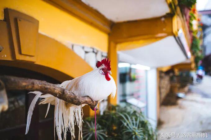 蜂首游记｜萨帕，最北的秘境