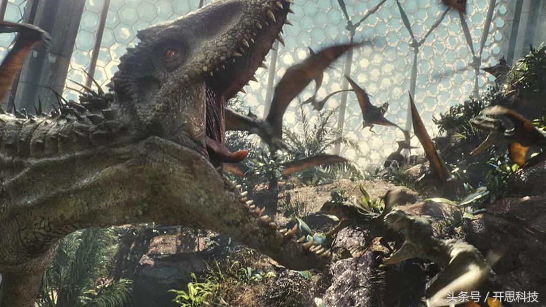 品牌管理是高知名度还是美誉度,怎么理解品牌管理