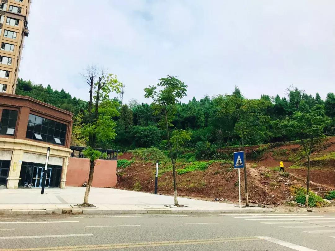 任家村未来规划,任家洼最新规划图