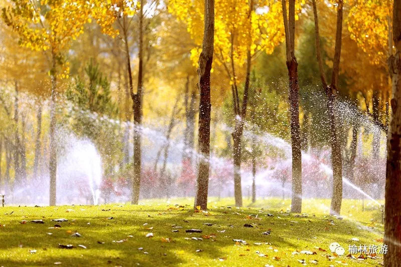 来一次说走就走的旅行向海边出发,来一次说走就走的旅行自驾游