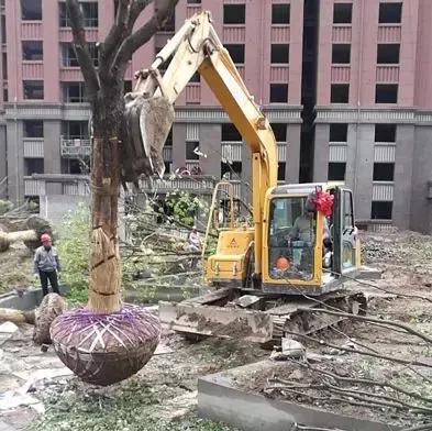 月入4万多，买山东临工E680F干市政绿化，高春林赚翻了