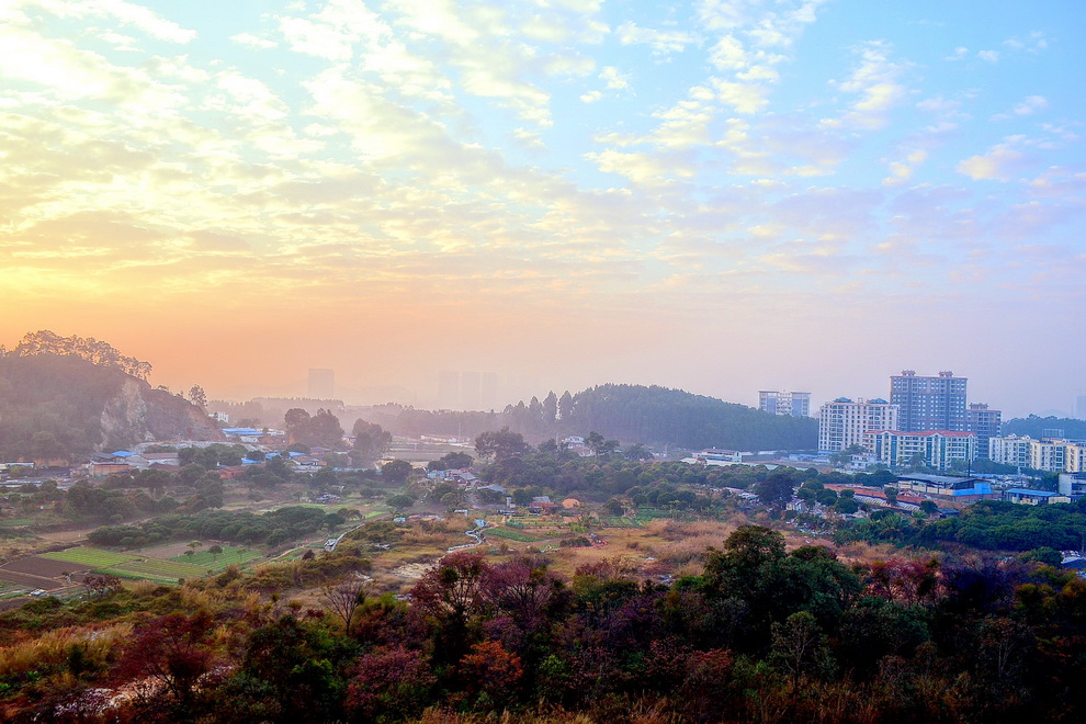 全国百强东莞15镇上榜,2020年中国百强城市排行榜东莞