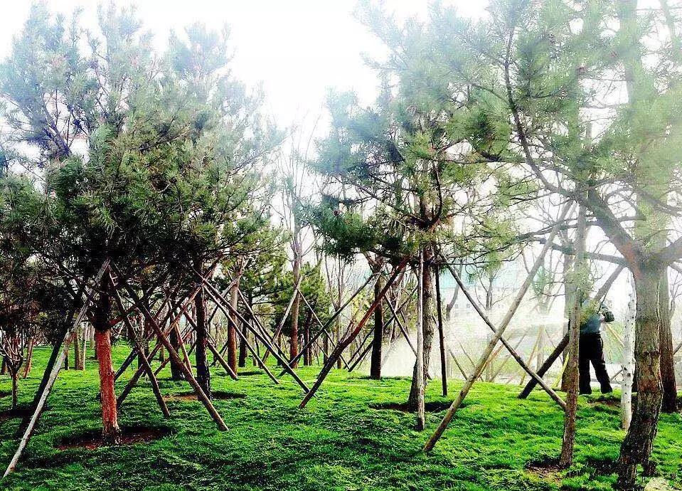 太原人到手的钱要变多了!10月,这一大波好消息影响你的生活……