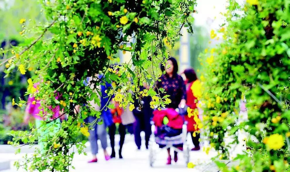 太原人到手的钱要变多了!10月,这一大波好消息影响你的生活……