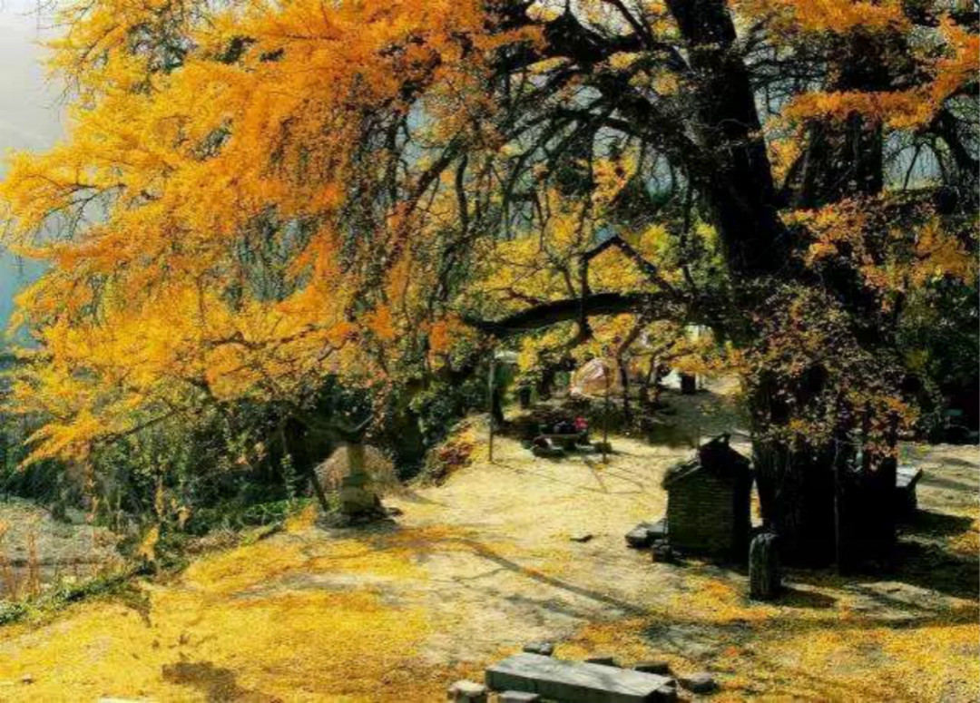 乡村改造田园景观设计,乡村特色复古景观设计