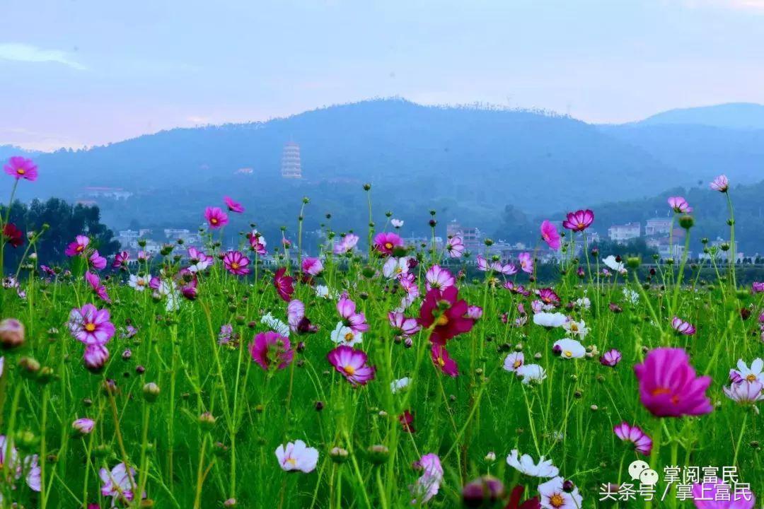 富民赋,富民产业赋能乡村振兴