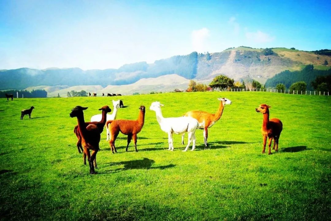 郑州一套房的钱，在其他地方能买啥？看完惊掉了下巴~