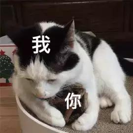 海关正式出手了!有人一次被罚血本无归,打算去香港的代购要哭了