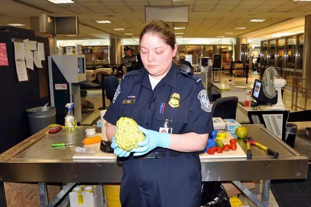 海关正式出手了!有人一次被罚血本无归,打算去香港的代购要哭了