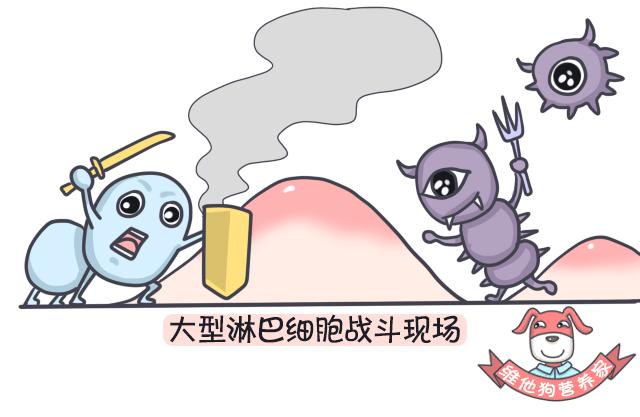 足贴减肥可信吗,足贴真的能排毒瘦身吗