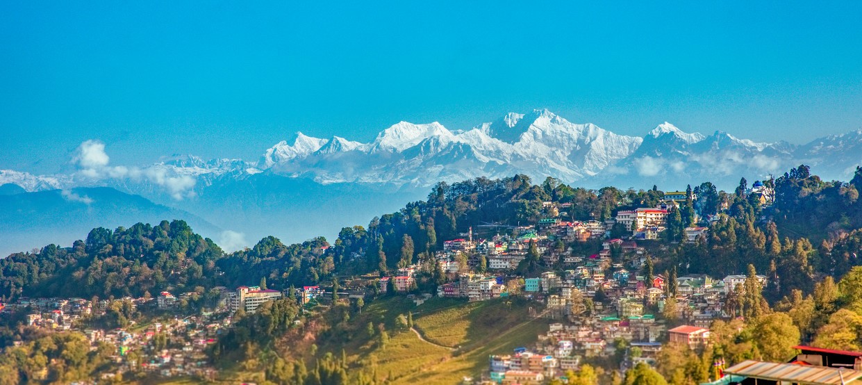 国外红茶排行榜前十名最好喝的茶,红茶出名的地方