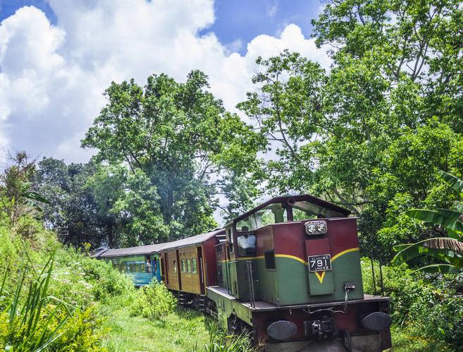 国外红茶排行榜前十名最好喝的茶,红茶出名的地方