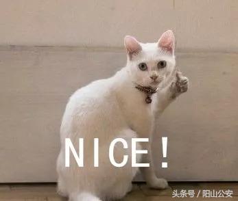 95开头的电话要警惕,95开头的推销电话哪儿来的