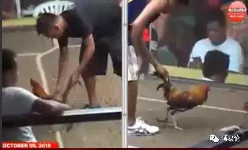 热刺对曼城足球竞猜,热刺竞彩推荐