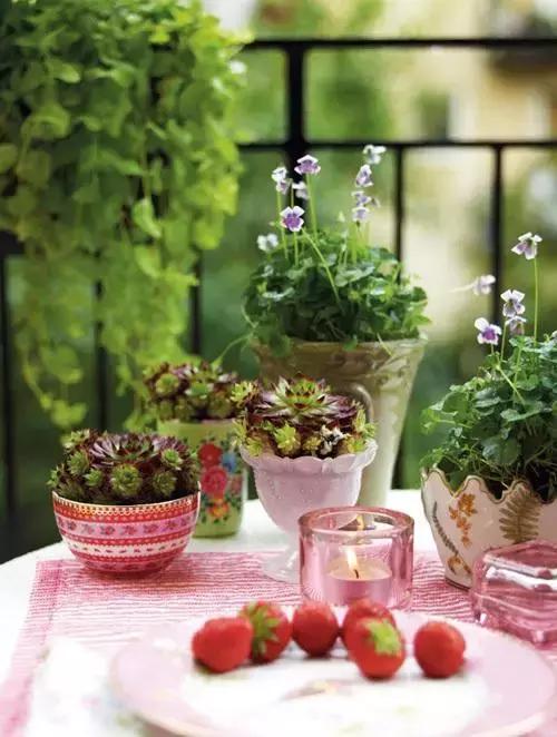 花园洋房阳台设计,阳台打造成小花园