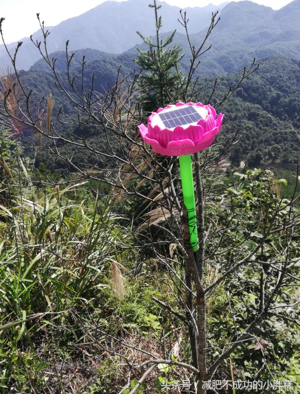 莆田有座“头像山”,下有阶数九九九,不知可曾仙游过?