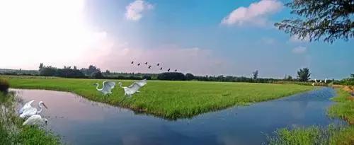 海南40年变化视频,海南30周年纪录片完整版