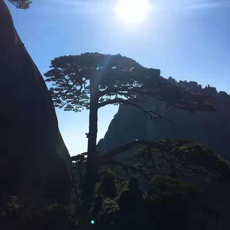 皖南自驾游详细攻略,皖南有哪些值得去的自驾游