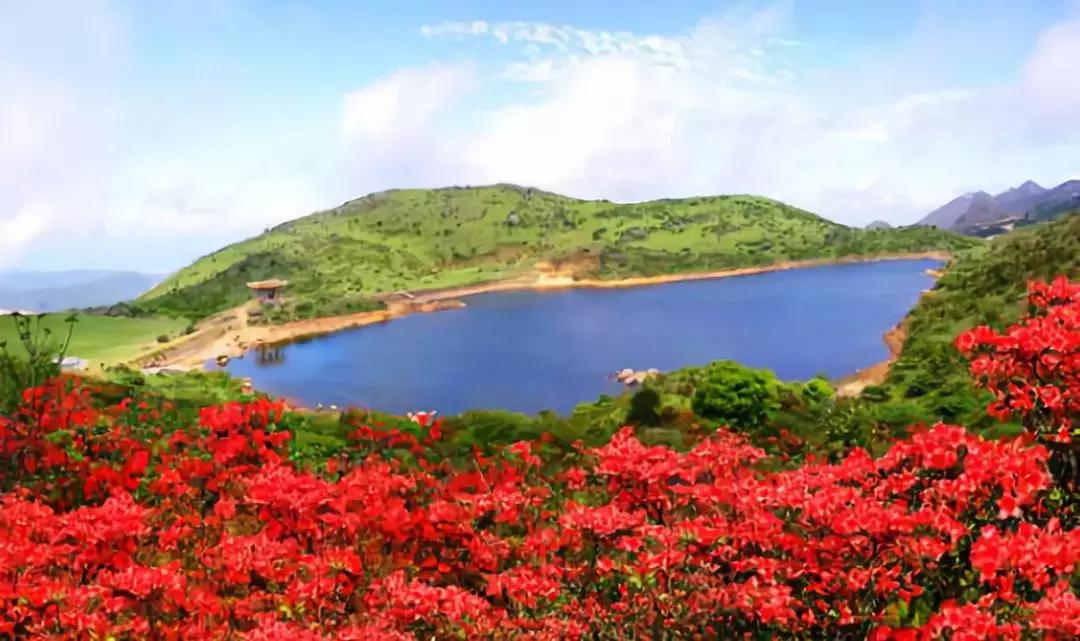 潮汕也有一座“凤凰古城”，古香古韵美不胜收！