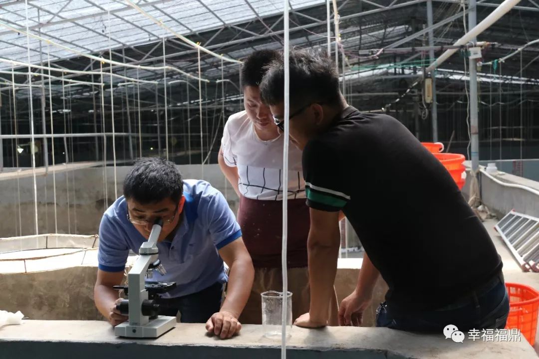 科技创新推动海洋经济高质量发展,科技推动海洋的发展