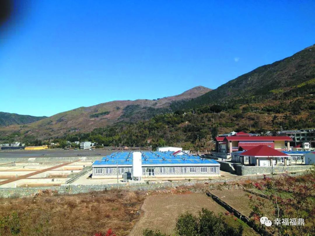 科技创新推动海洋经济高质量发展,科技推动海洋的发展