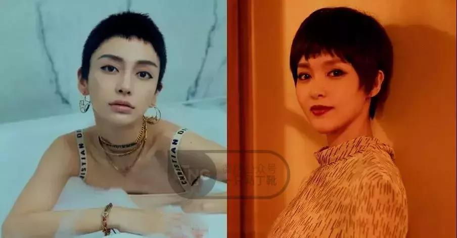 明星踩雷区完整版,明星节目踩雷