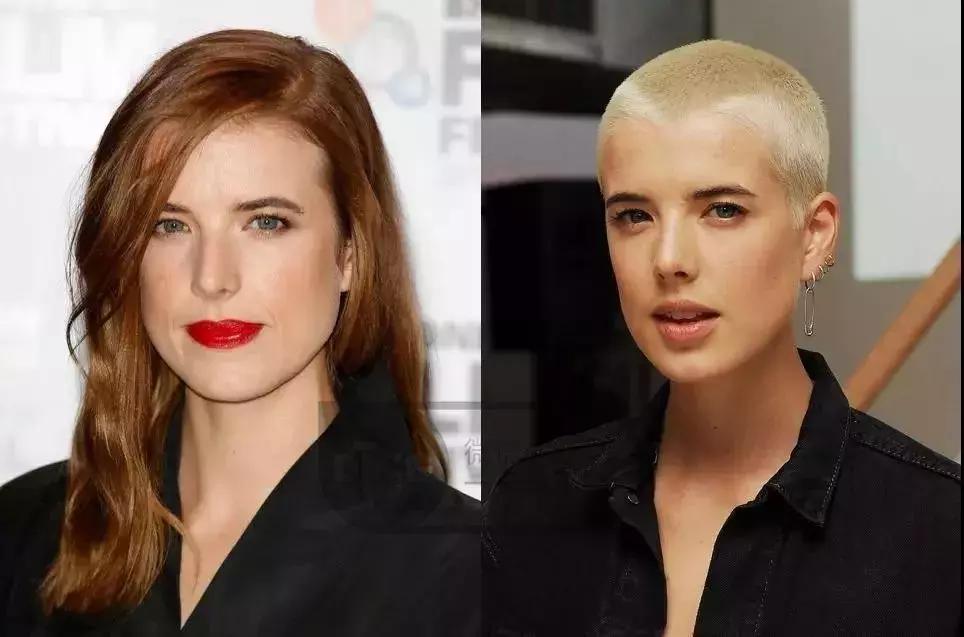 明星踩雷区完整版,明星节目踩雷