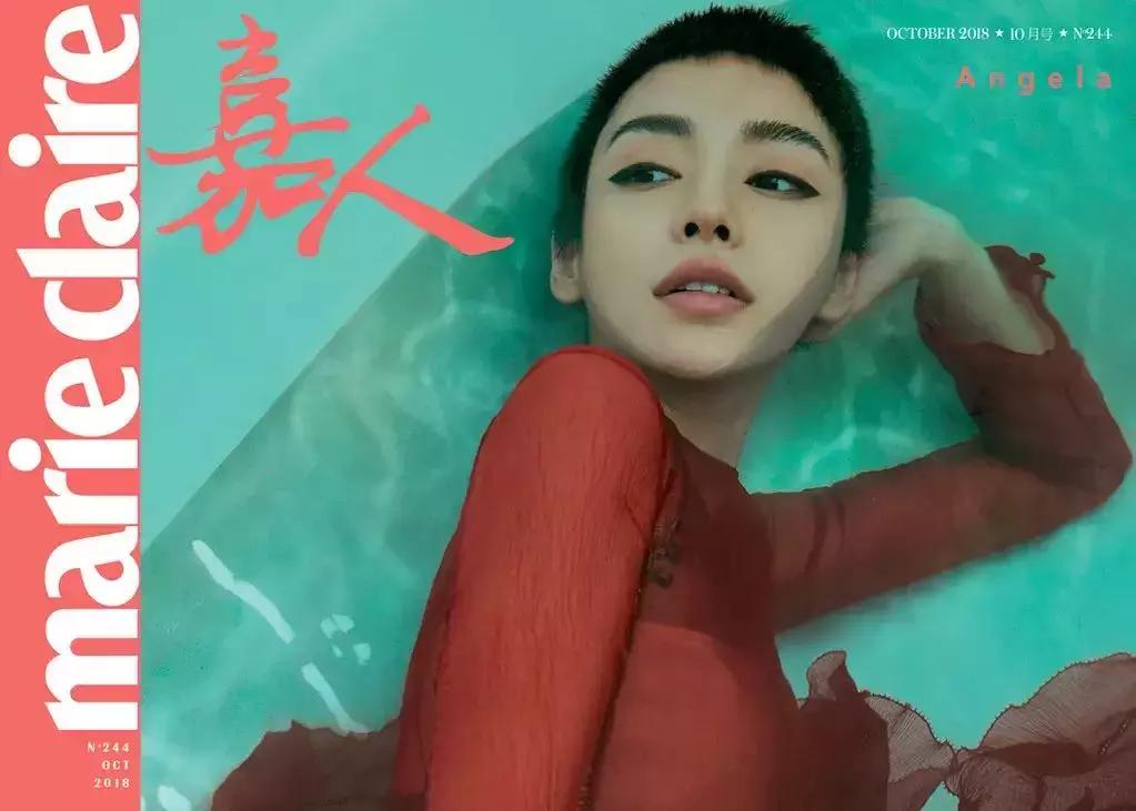 明星踩雷区完整版,明星节目踩雷