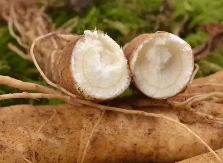 长白山人参干货安心购,4.99元吉林长白山鲜人参