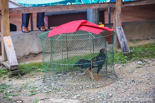 西双版纳最古老的傣族村寨,西双版纳古老的村子