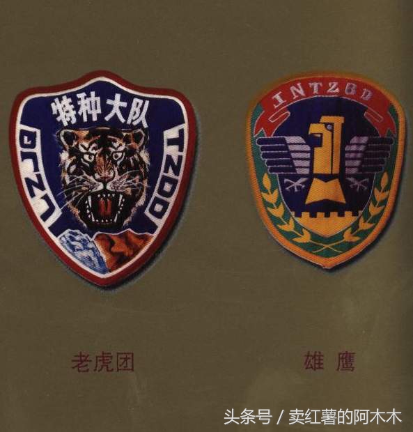 特种部队里有哪些训练,特种部队帮国足训练