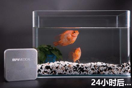 甲醛释放期长达15年！欧美家庭必备的10秒除甲醛神器，只需一放，效果比活性炭强1000倍