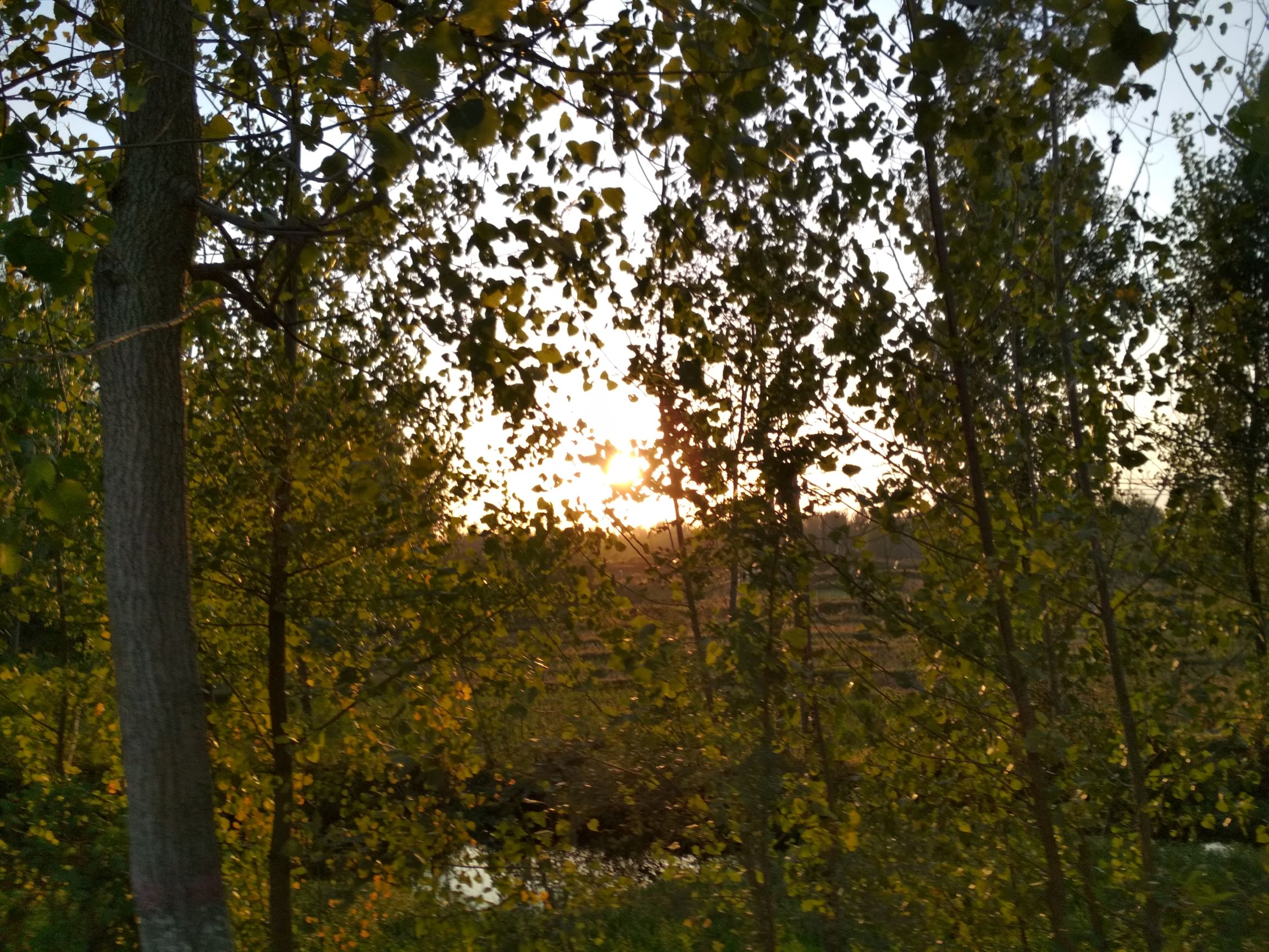 武汉2天2夜自驾住宿,武汉2天骑行