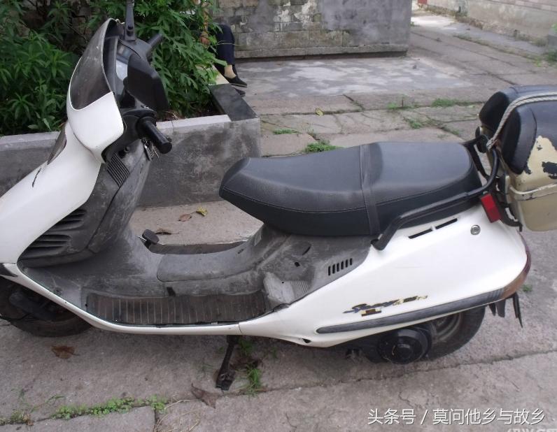 本田大白鲨125当年卖多少,本田大鲨125是哪年的车