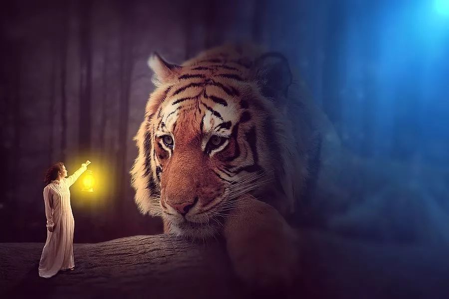 关于成功与梦想的励志句子,有意义的英文短句励志