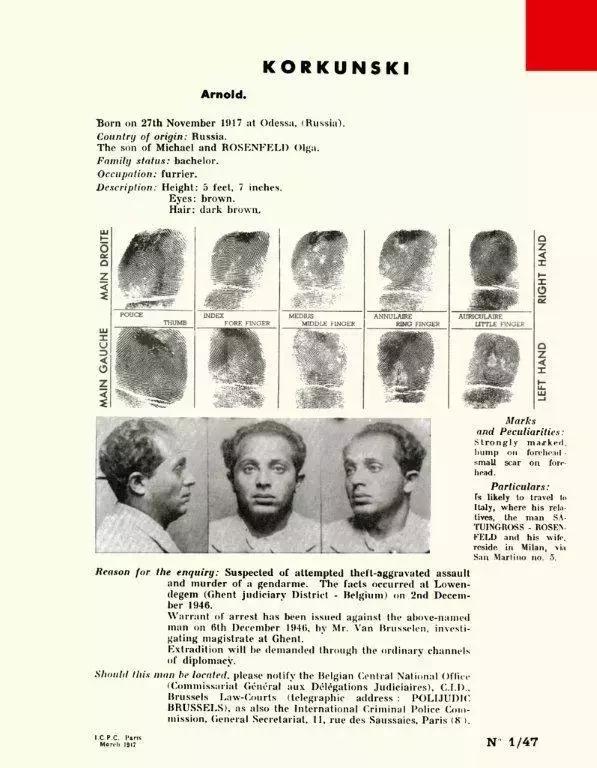 国际刑警组织的来历,国际刑警组织发布最新消息