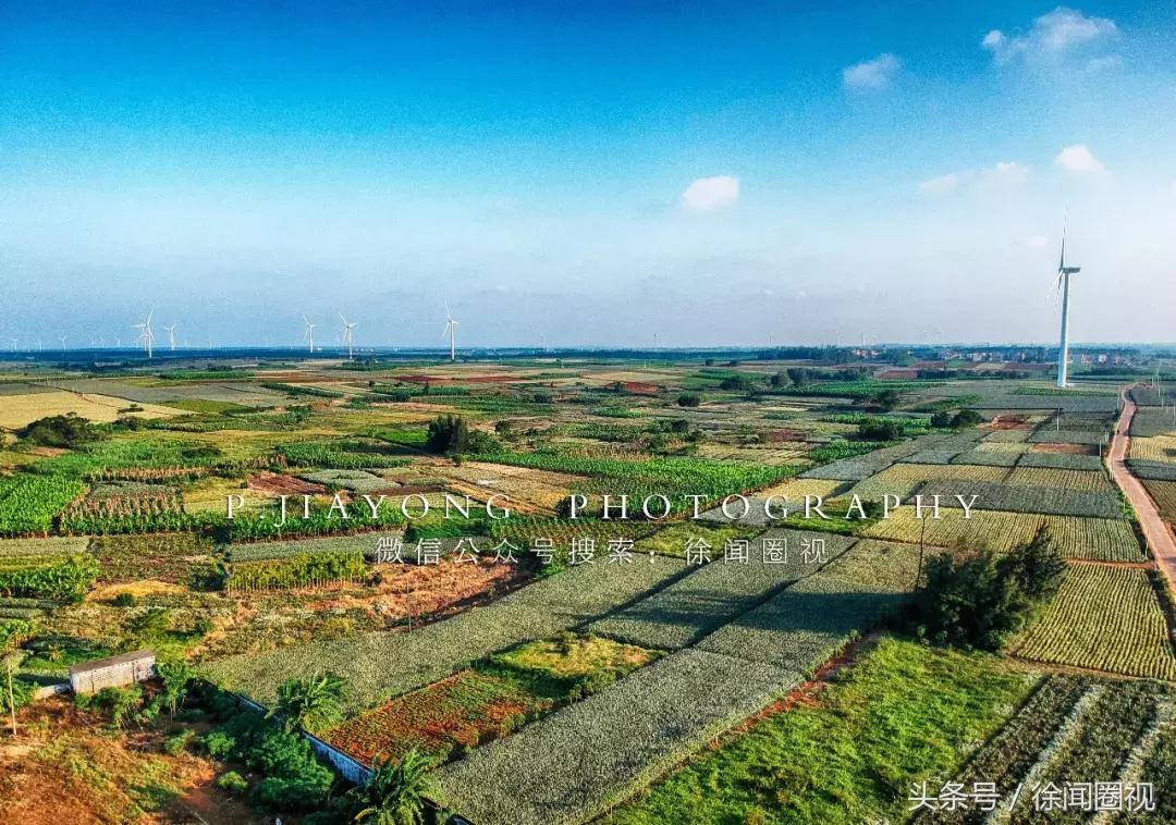 徐闻县下洋镇乡村振兴工程,湛江徐闻下洋镇新农村建设