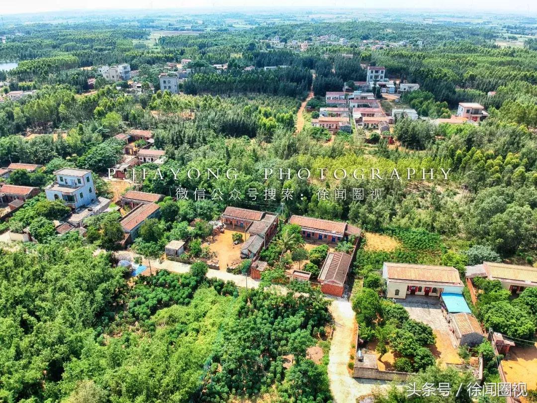 徐闻县下洋镇乡村振兴工程,湛江徐闻下洋镇新农村建设